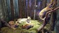 17_Podlasie_266-Bialorus